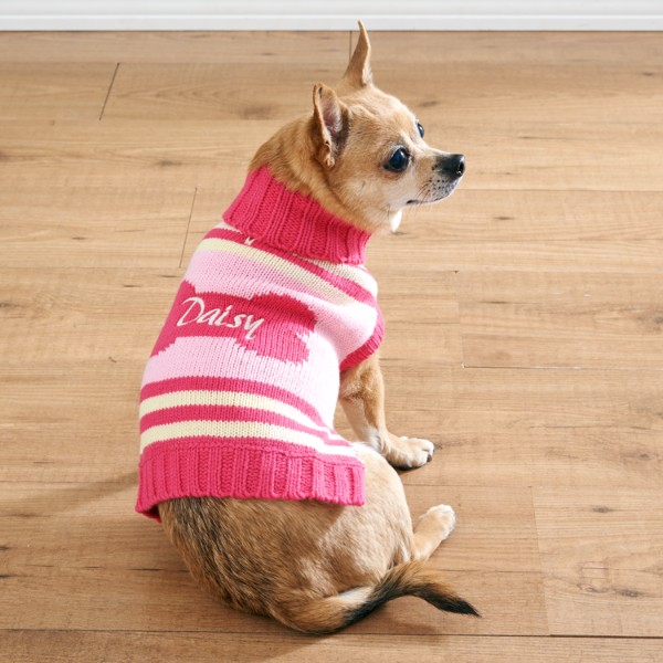 doggy bone sweater