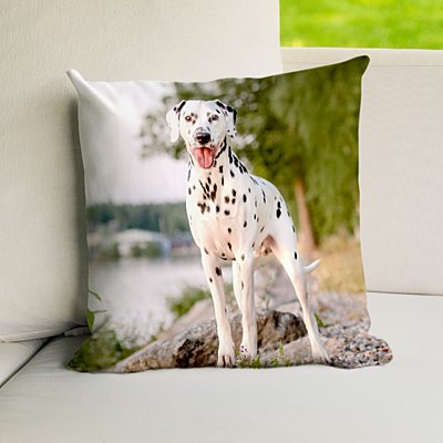Picture-Perfect Pet Memorial Personalized Pillow