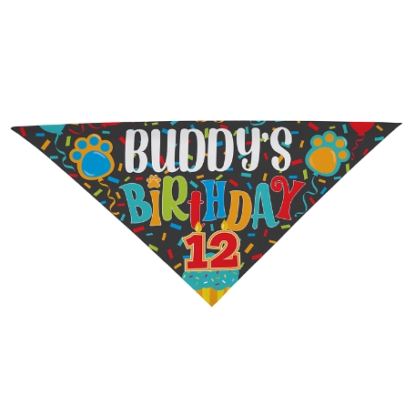 Look Who's Birthday Pet Bandana - 22x22 - Primary