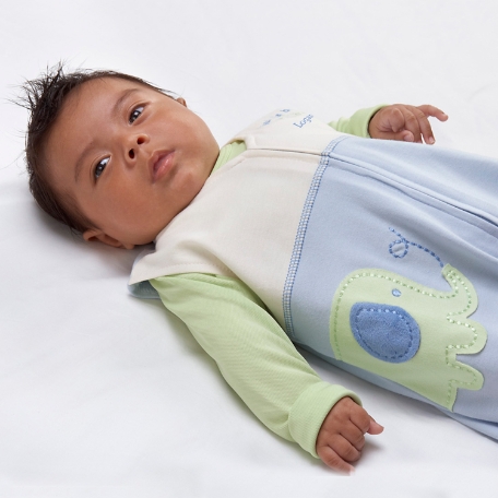 Halo Sleepsack Wearable Blanket