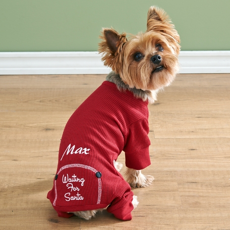 Waiting For Santa Doggy Long John