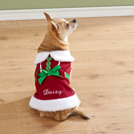 Mrs. Claus Costume