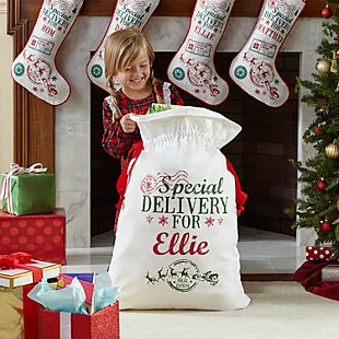 Santa's Special Delivery Oversized Gift Bag