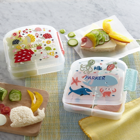 Bitty Bites Good Lunch® Sandwich Box