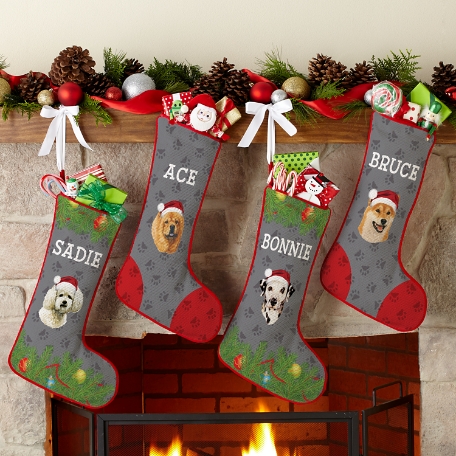 Non-Sporting Dog Group Stocking by Linda Picken©