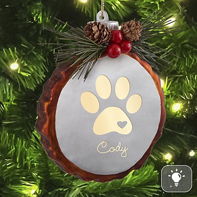 Paw Print Rustic Lighted Glass Ornament