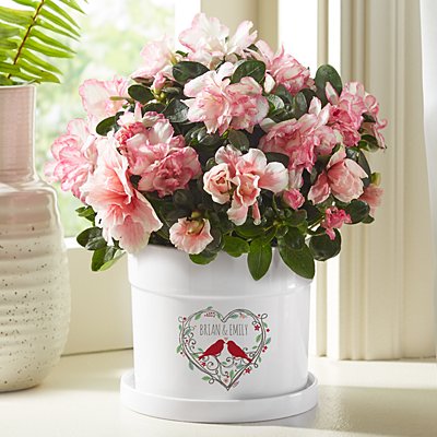 Love Nest Flower Pot