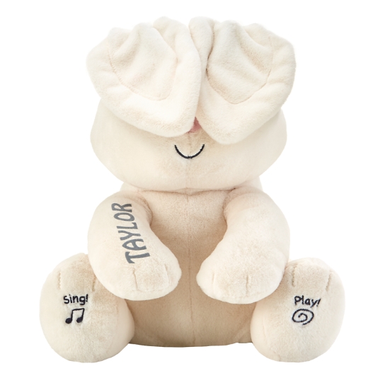 Peek-A-Boo Talking Plush Toy – babyfirst Store