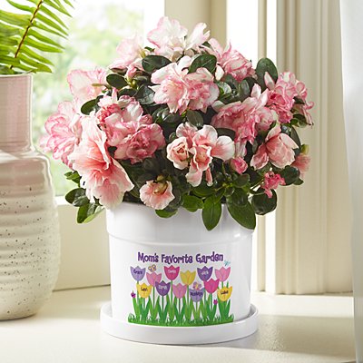 Tulip Garden Flower Pot