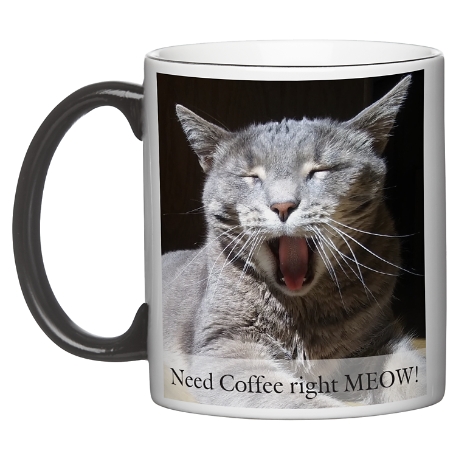 Picture-Perfect Photo Mug with Message - 11oz w/Black Handle