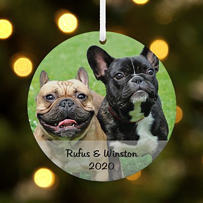 Picture Perfect Pets Photo Message Round Ornament