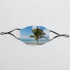Picture Perfect Photo Adult Face Mask