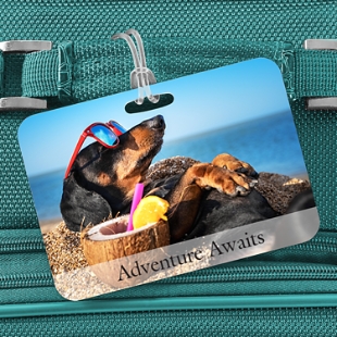 Picture-Perfect Photo Luggage Tag