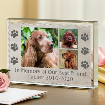 Pawprints Photo Memorial Personalized Glass Block