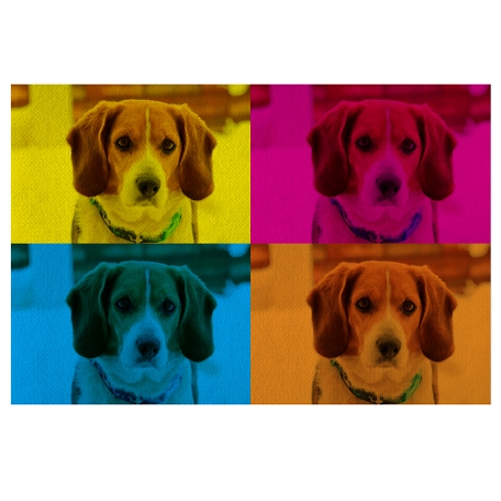 Pop Art Photo Doormat-  24x36