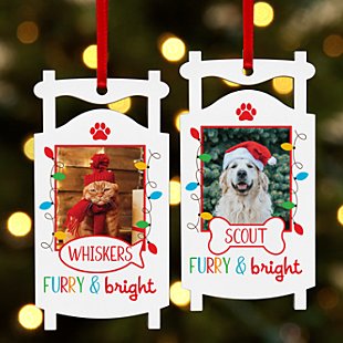 Furry & Bright Pet Photo Sled Ornament