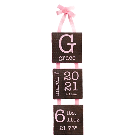 Birth Info Hanging Mini Canvas - Pink