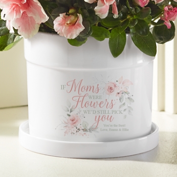 Still Pick You Planter with Tray