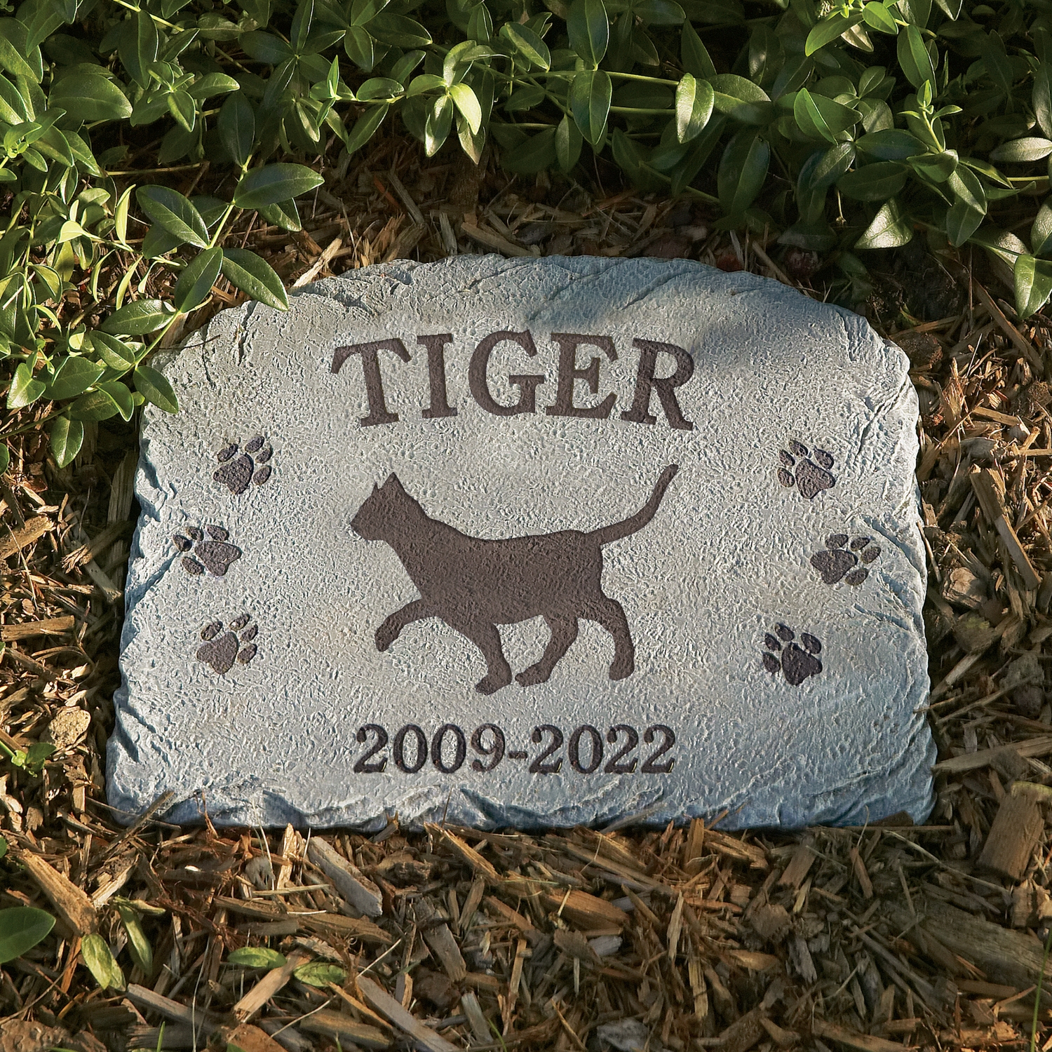 PCR22_12SP240X_ENVIRO_CAT_AMZ?$PCRProductImage$