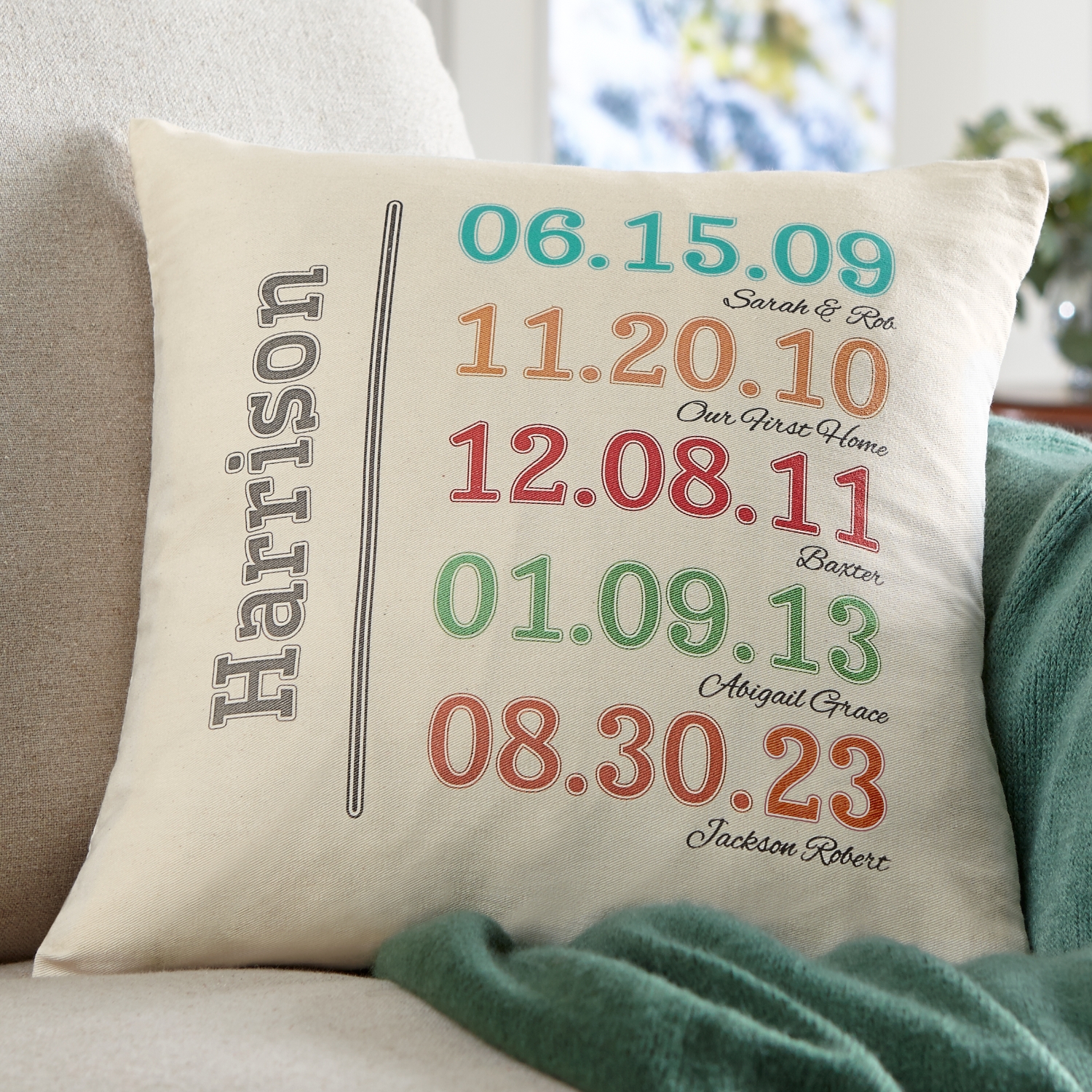 Fun Family History Throw Pillow