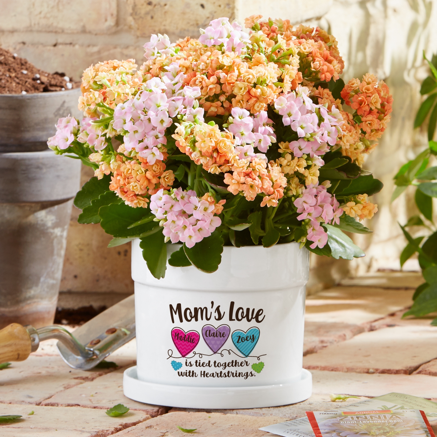 Heartstrings Flower Pot