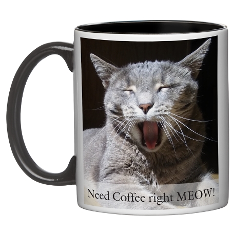 Picture Perfect Photo Mug with Message - 11oz - Black