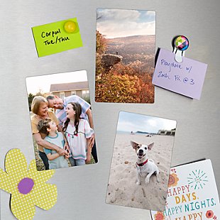 Picture-Perfect Photo Set of 3 Magnets
