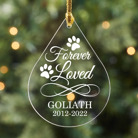 Pawprints Pet Memorial Personalized Ornament