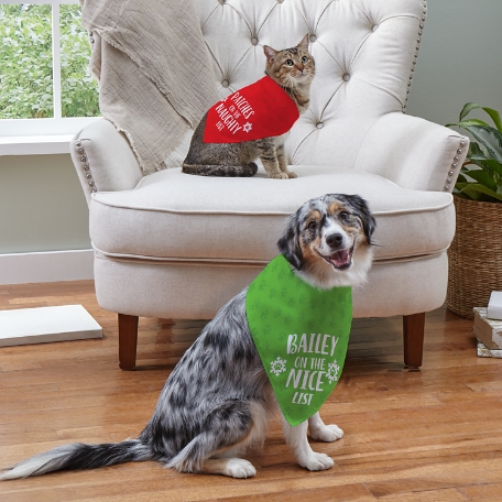 Naughty or Nice Pet Bandana