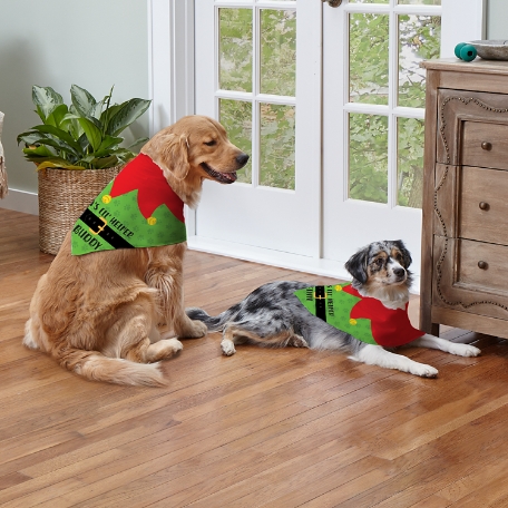 Santa's Lil' Helper Pet Bandana