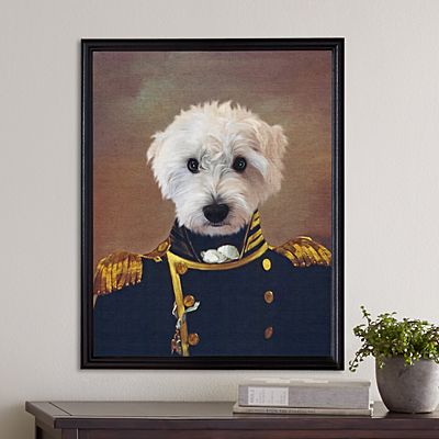 The Admiral Pet Photo Portrait
