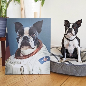 The Astronaut Pet Photo Portrait