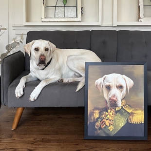 The Colonel Pet Photo Portrait