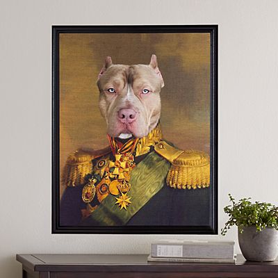 The Colonel Pet Photo Portrait