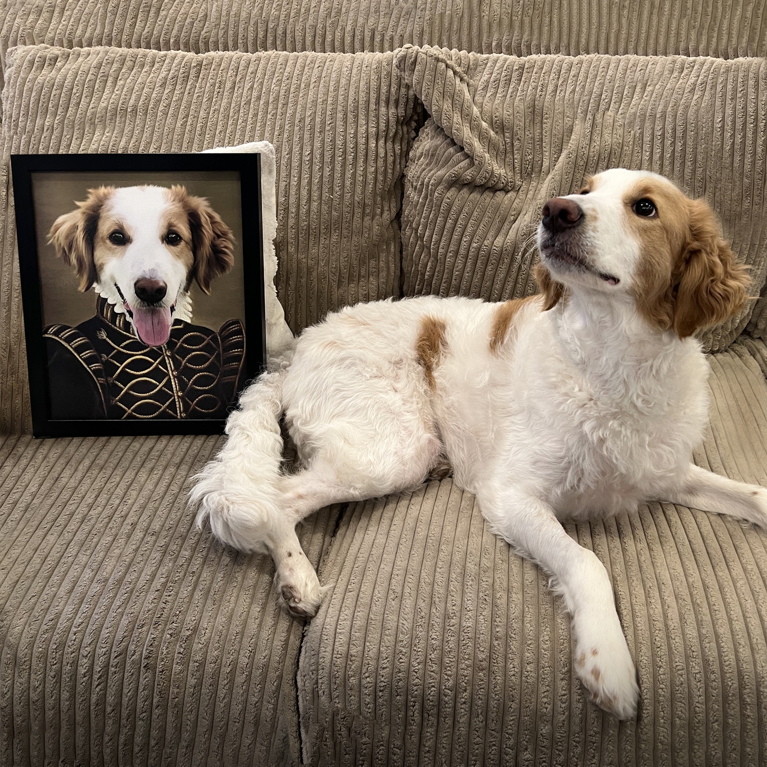 The Noble Pet Photo Portrait