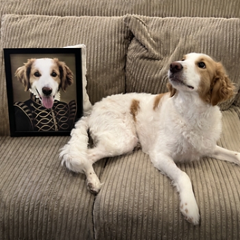 The Noble Pet Photo Portrait