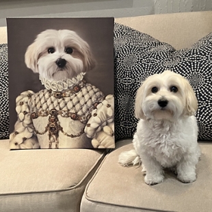 Personalized Gifts for Pets at Personal Creations