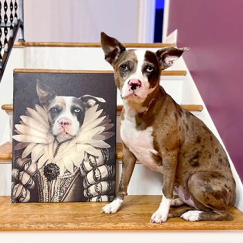 The Queen Pet Photo Portrait