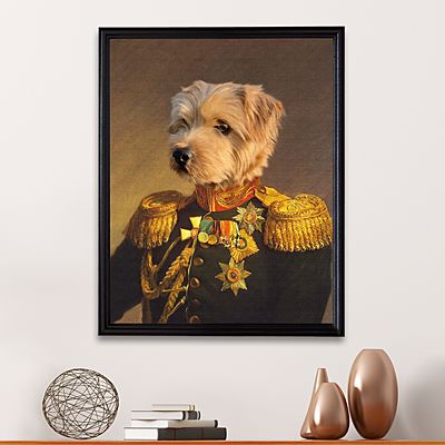 The Veteran Pet Photo Portrait