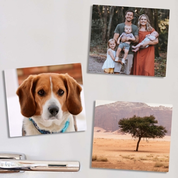 Picture-Perfect Photo Magnets (3.5x4) - Horizontal