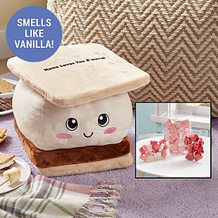 Nothing Sweeter Than You Gift Bundle: Smore Pillow + Candy