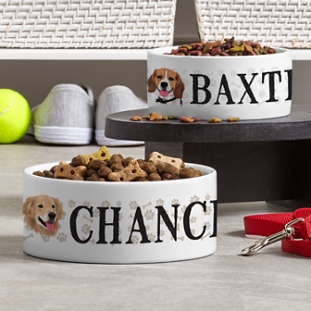Dog Breed Pet Bowl