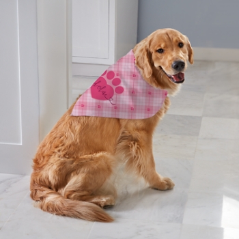 Love and Paws Pet Bandana