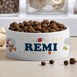 PEANUTS® Out of this World Pet Bowl