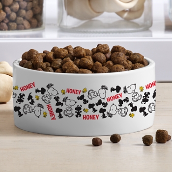 PEANUTS® Snoopy™ Happy Dance Pet Bowl