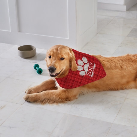 Plaid Paw Print Bandana