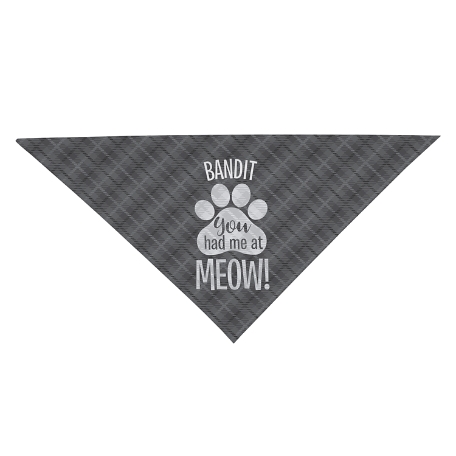 You Had Me At Meow! Bandana -Small-Gray