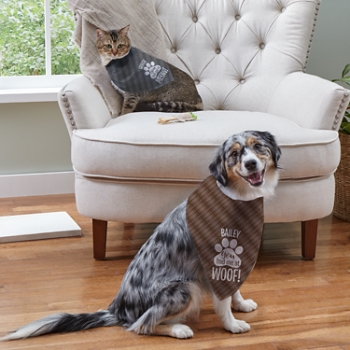 You Had Me At... Pet Bandana