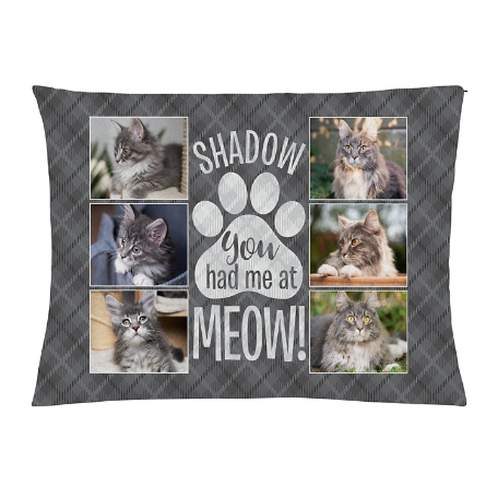 You Had Me At Meow! Photo Pet Bed-Large-Gray