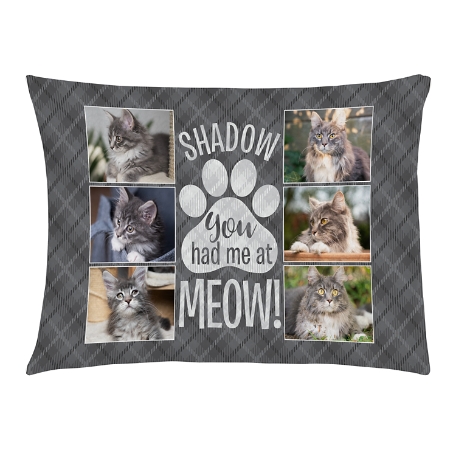 You Had Me At Meow! Photo Pet Bed-Medium-Gray